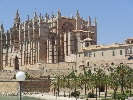 Palma